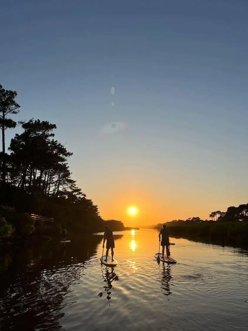 contis sunset max respect de dos