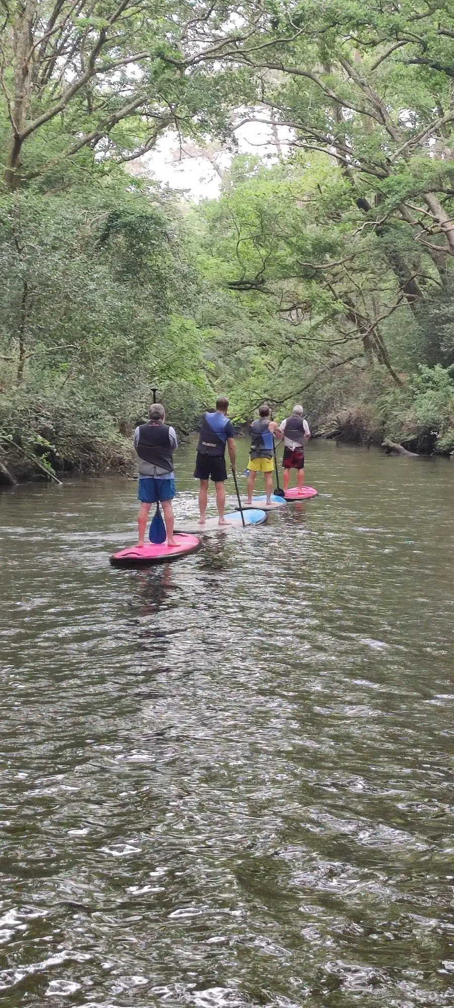groupe paddle foret